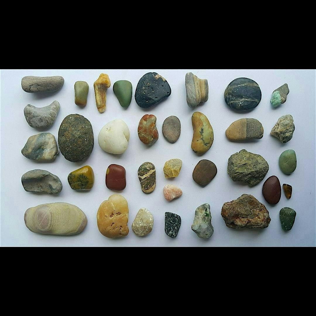 Geology Rocks!: Tiny Tots (Ages 3-5), $4 per child upon arrival, 25 September | Event in Kings Park | AllEvents