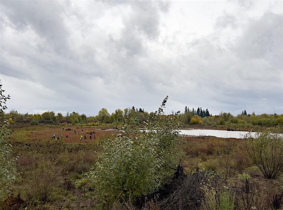 Spring Trail Maintenance at Jackson Bottom Wetlands, 17 May | Event in Hillsboro | AllEvents