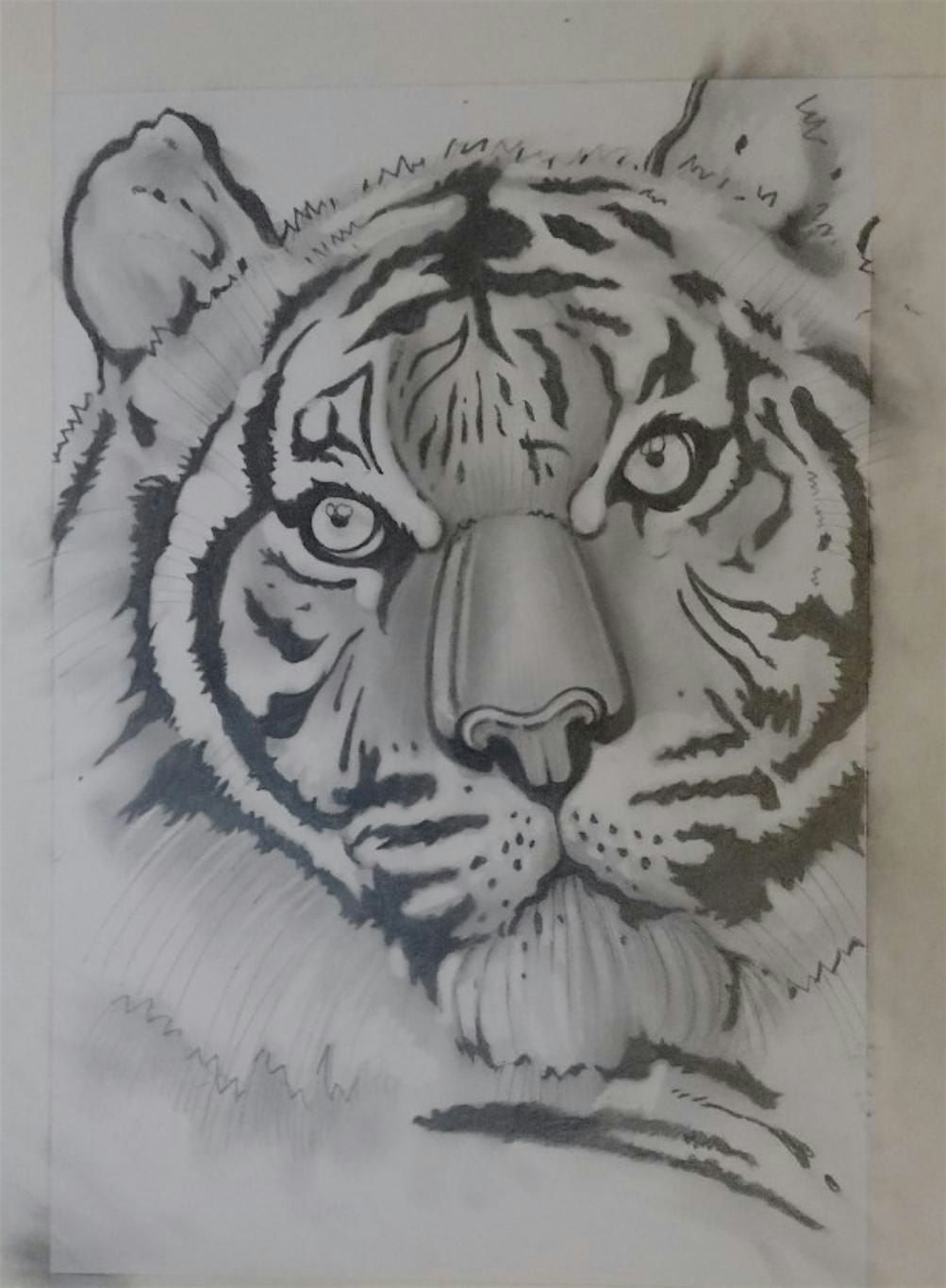 [TEEN WORKSHOP] Shades & Strokes: Into to Graphite Drawing, 14 June | Event in Buffalo | AllEvents