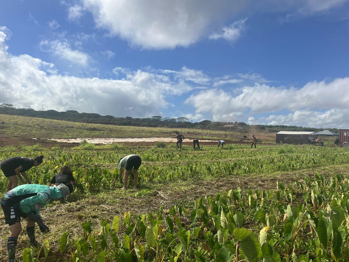 Oʻahu Community Work Day Registration - Kumano I Ke Ala, 30 November | Event in Haleiwa | AllEvents