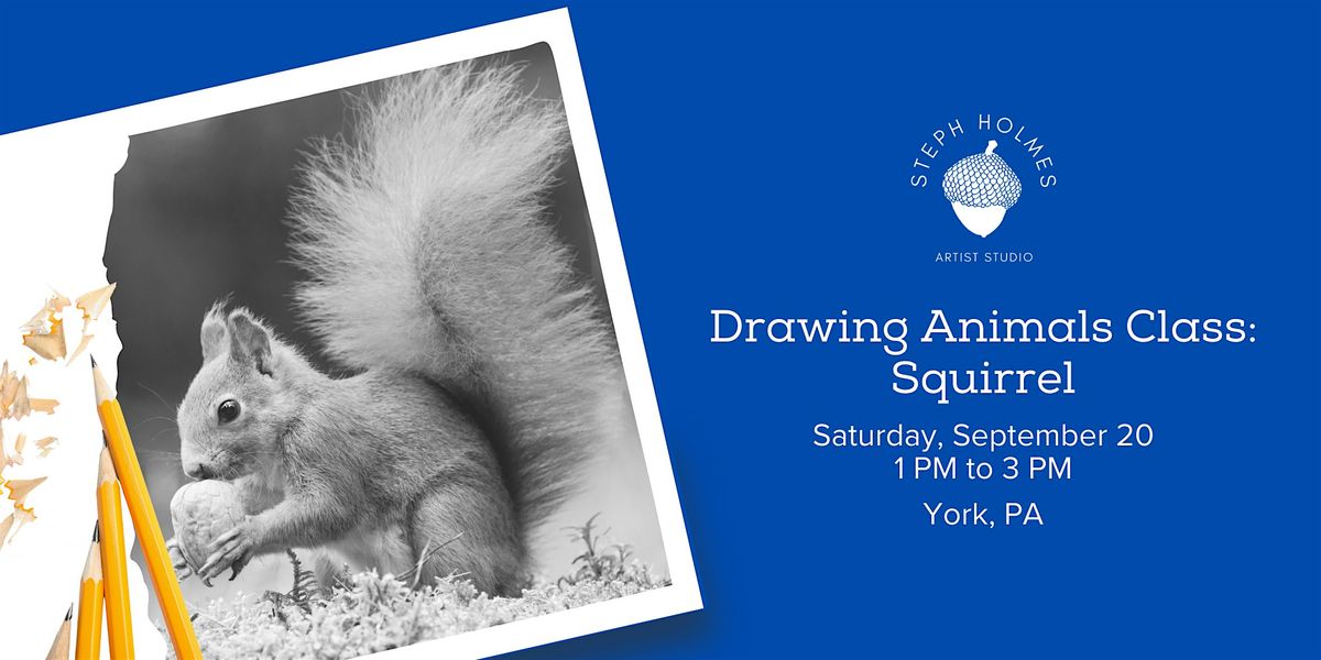 Drawing Animals Class: Squirrel, 20 September | Event in York | AllEvents