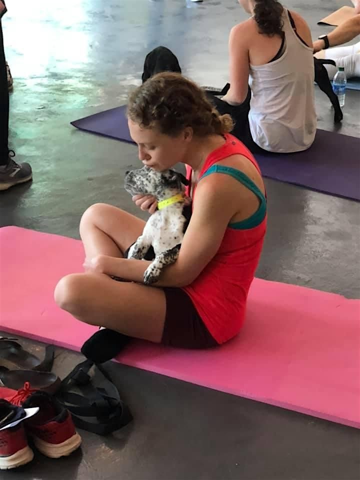 Doggy Noses & Yoga Poses at Sana Yoga, 20 July | Event in Union | AllEvents