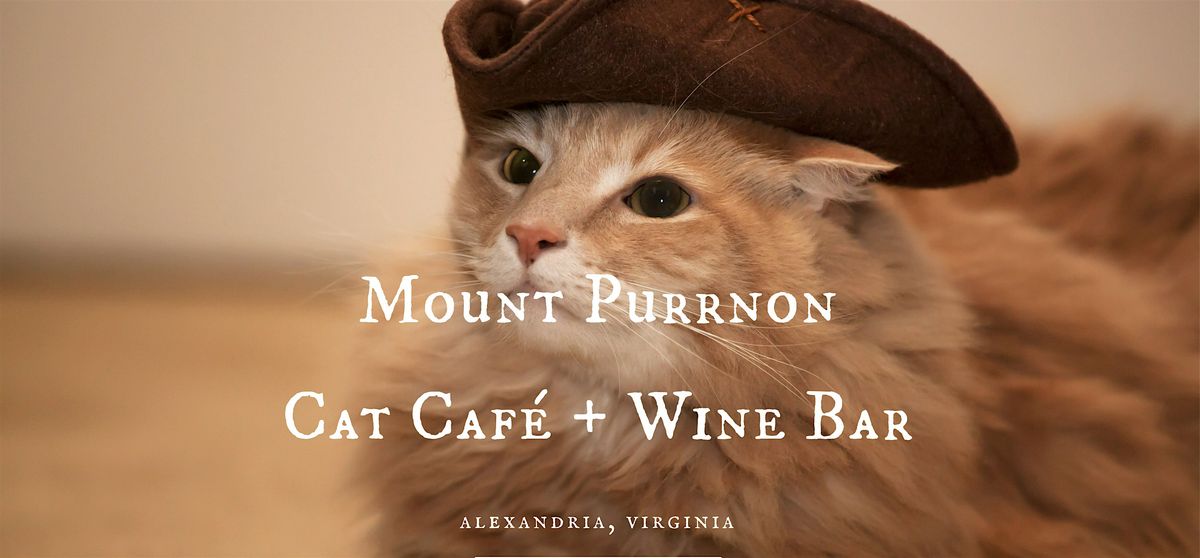 Build and Glaze Pottery at Mt. Purrnon Cat Cafe + Wine Bar, 18 July | Event in Alexandria | AllEvents