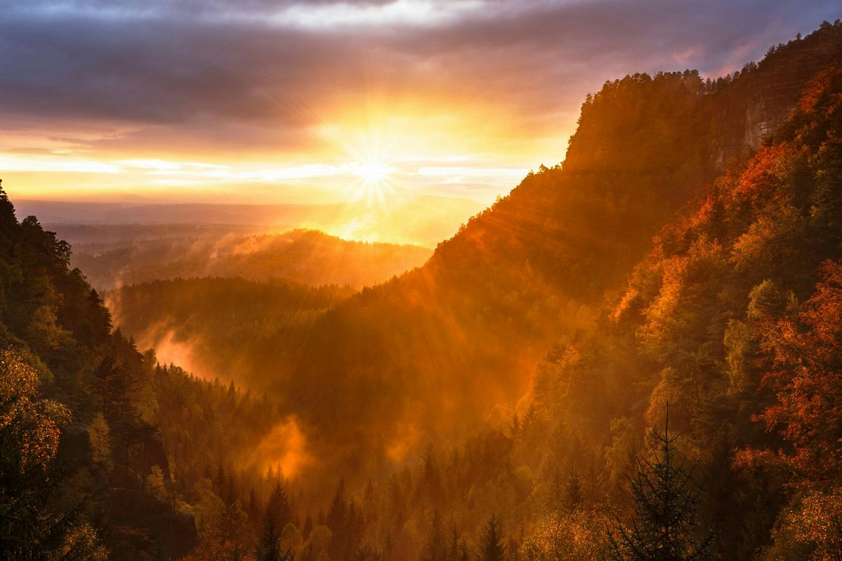 Reflect to Refocus with Gratitude and Grace, 12 November | Event in Utica | AllEvents
