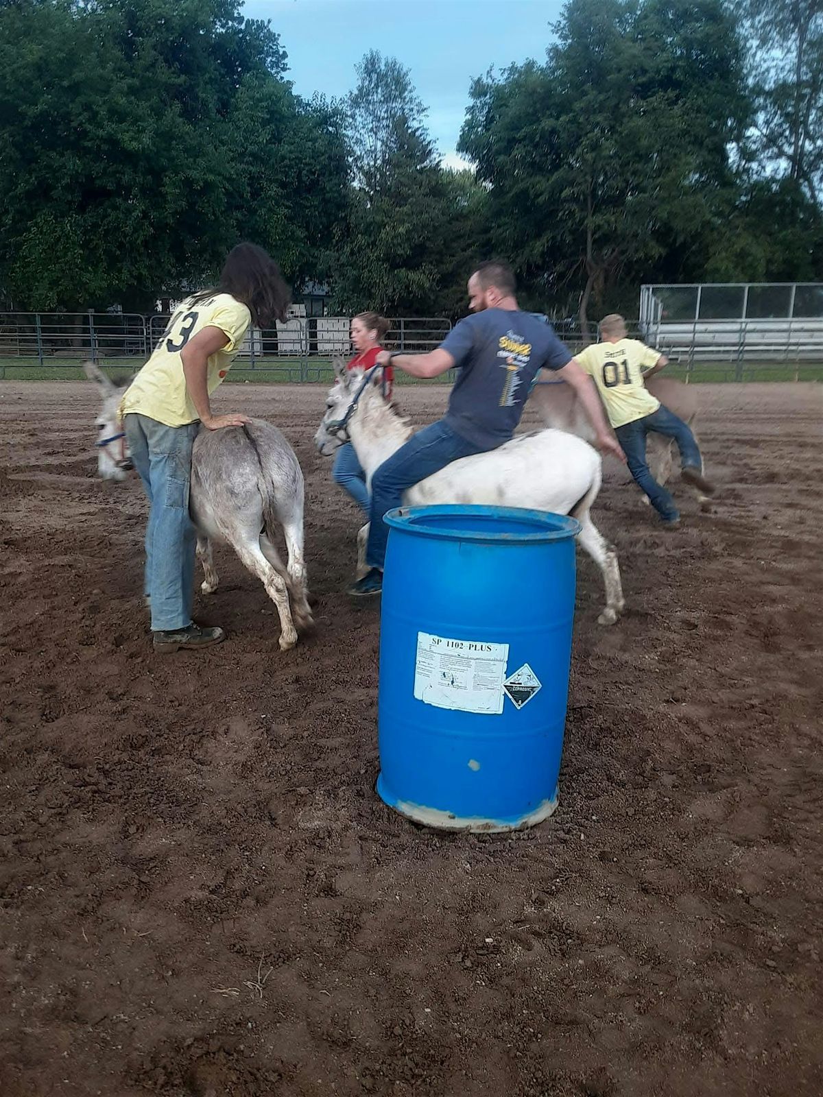 Donkey Basketball and Races, 20 June | Event in Greenfield | AllEvents