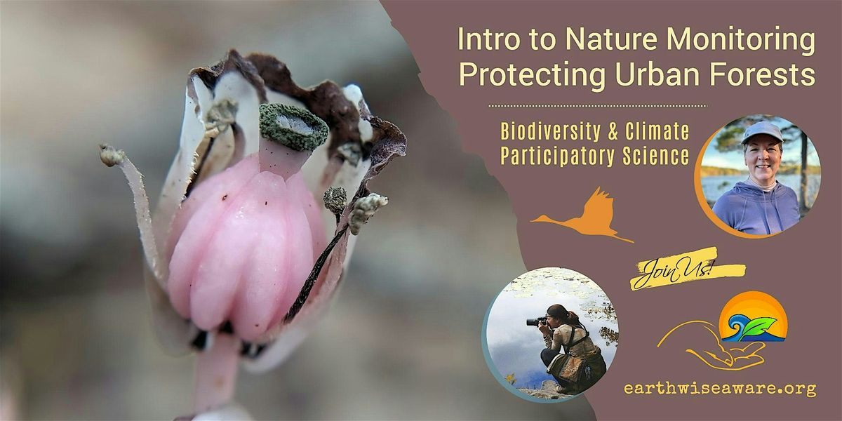 Introduction to Nature Monitoring – Protecting Urban Forests, 13 October | Event in Medford | AllEvents