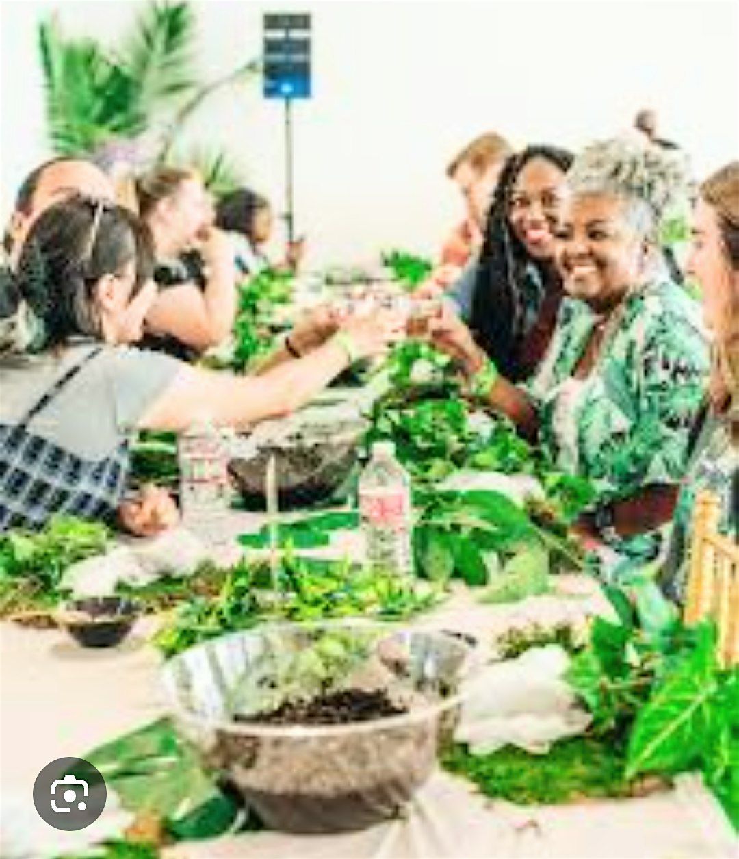 Plant and Sip with Stefanie's Supernatural, 14 June | Event in Vallejo | AllEvents