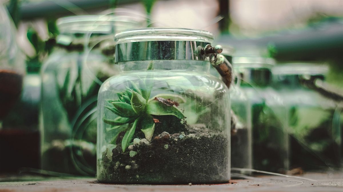 Terrarium Workshop, 2 August | Event in Hampton | AllEvents