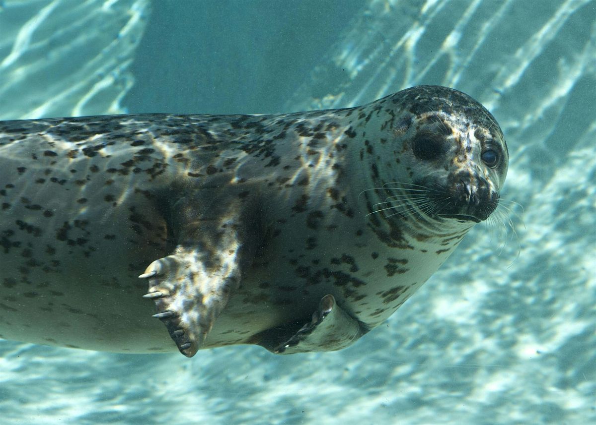 Summer Camp: Aquatic Adventures, 28 July | Event in Anchorage | AllEvents