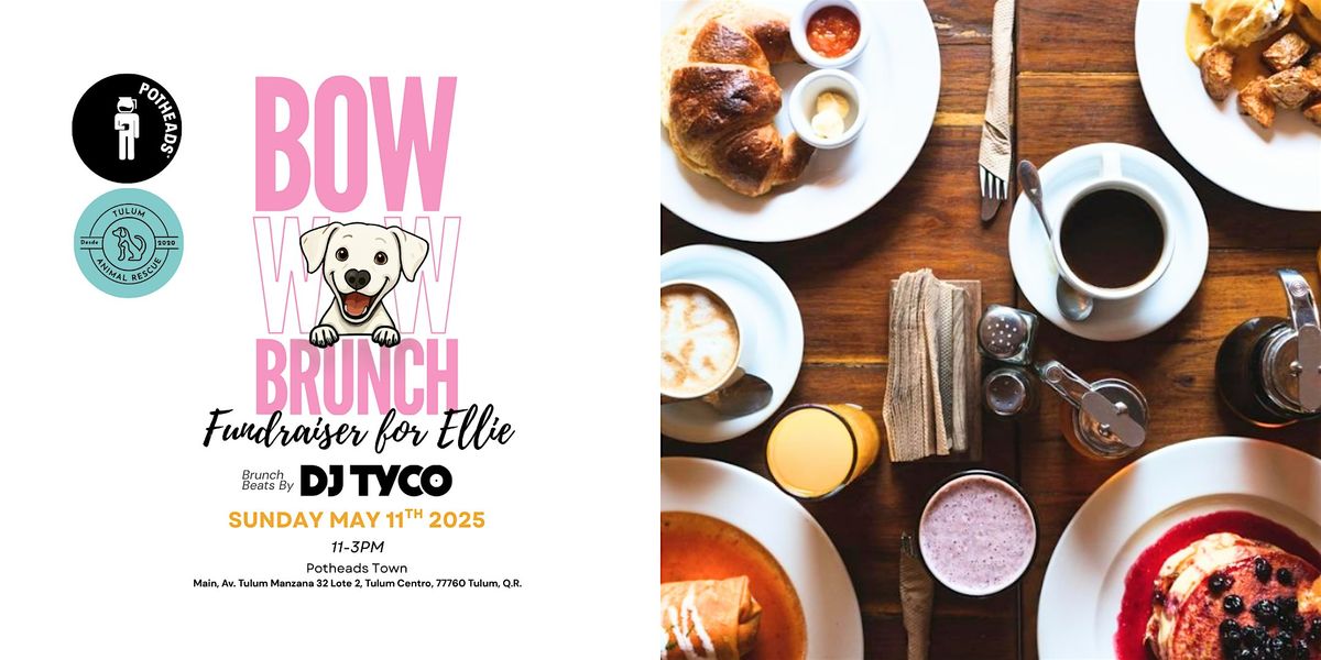 Bow Wow Brunch: Fundraiser for Ellie & Tulum's Rescue Animals | Event in Tulum | AllEvents
