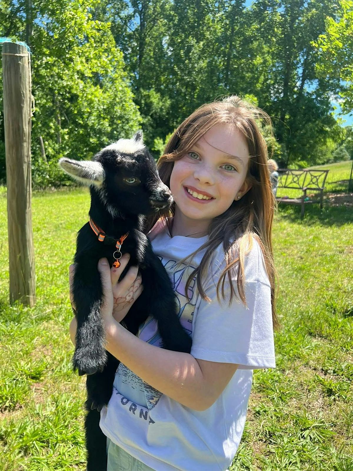 4th of July Weekend Baby Goat & Bunny Bottle Feed and Farm Animal ...
