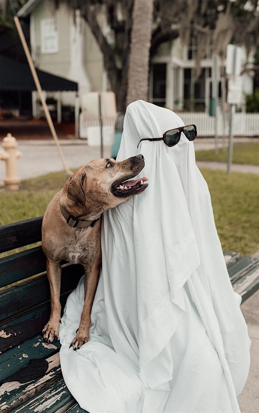 Spooky Flower Class, 11 October | Event in Rockledge | AllEvents