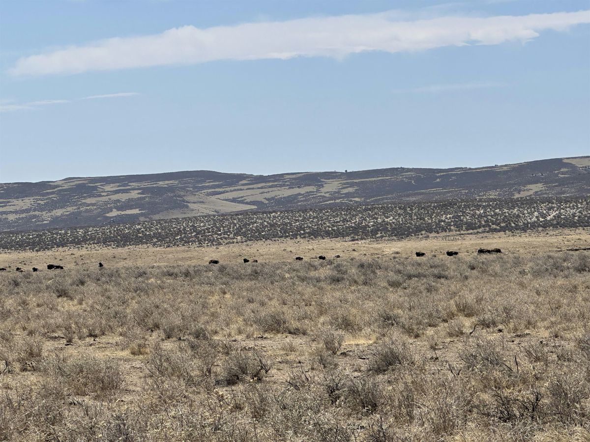 Front Range Drought Workshop, 28 June | Event in Longmont | AllEvents