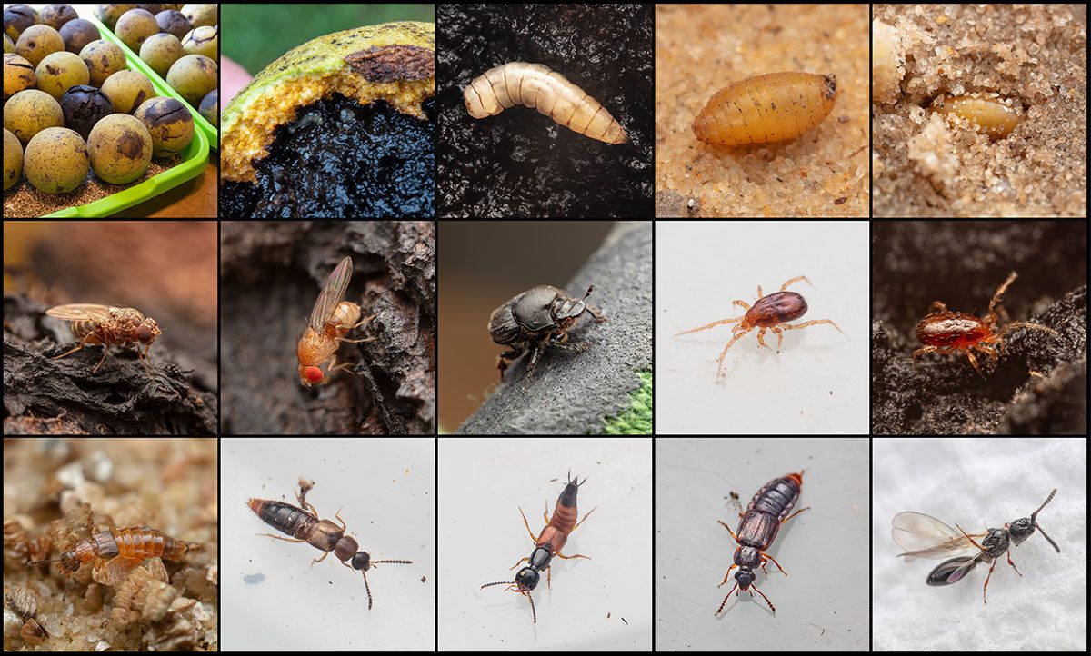 Colin Babb, 25 December | Event in Tulsa | AllEvents