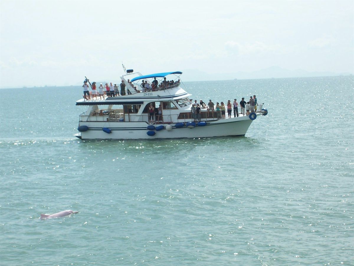 Hong Kong DolphinWatch x 360 Lantau Island Group Tour | Event in Tsim Sha Tsui | AllEvents
