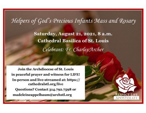 Things To Do In St Louis This Weekend August 20 22 2021 December 2022 St Louis Events