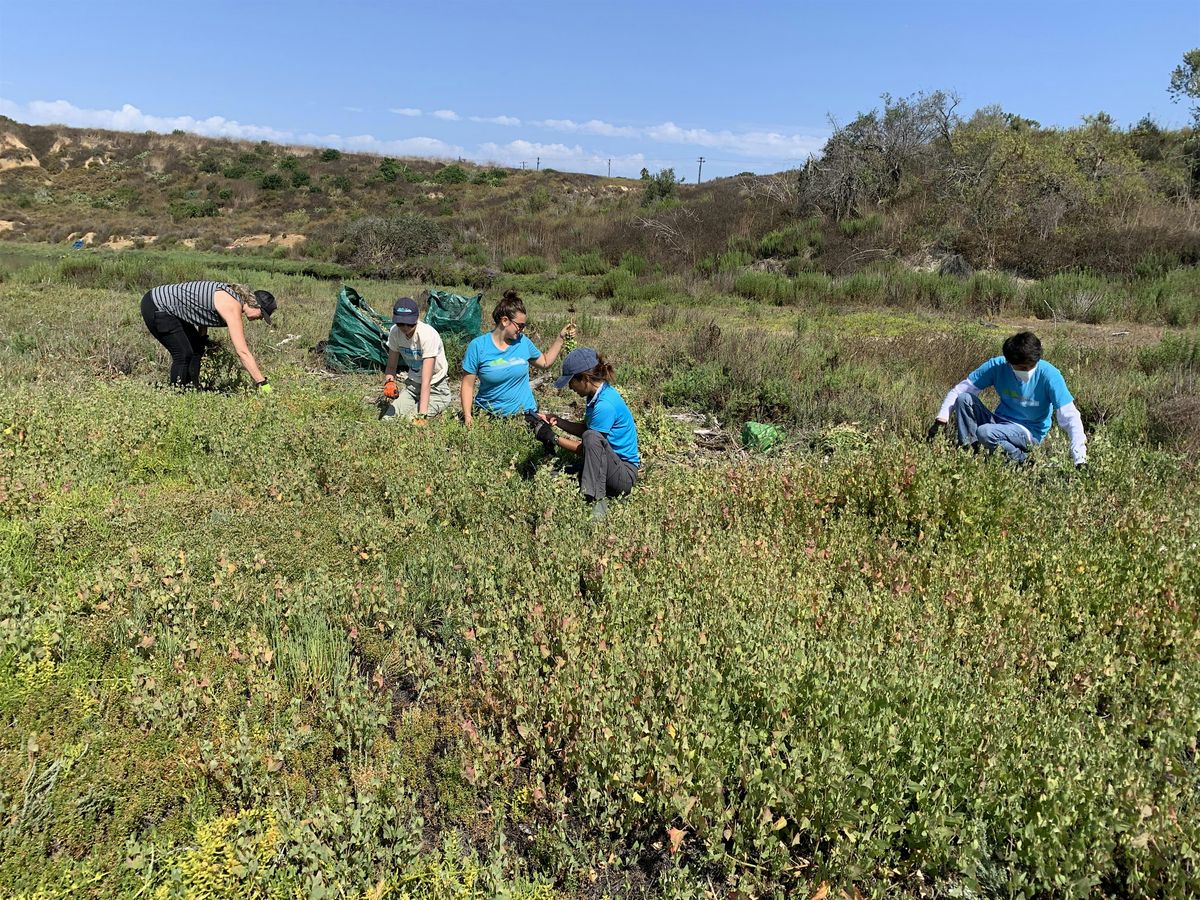 OCH Restoration at the Upper Newport Bay (2025) | Event in Newport Beach | AllEvents