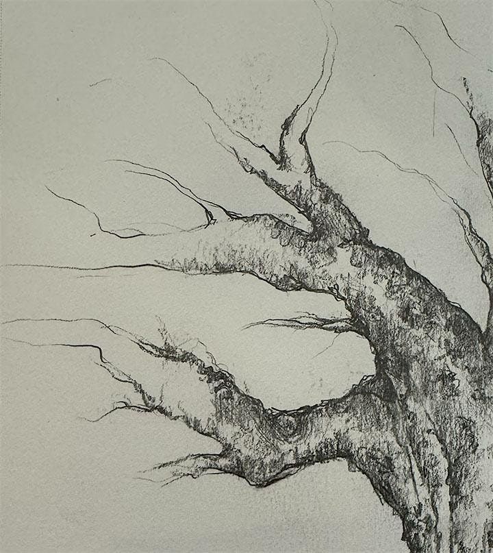 2nd Saturday Open Studio Drawing Class, 14 June | Event in Winsted | AllEvents
