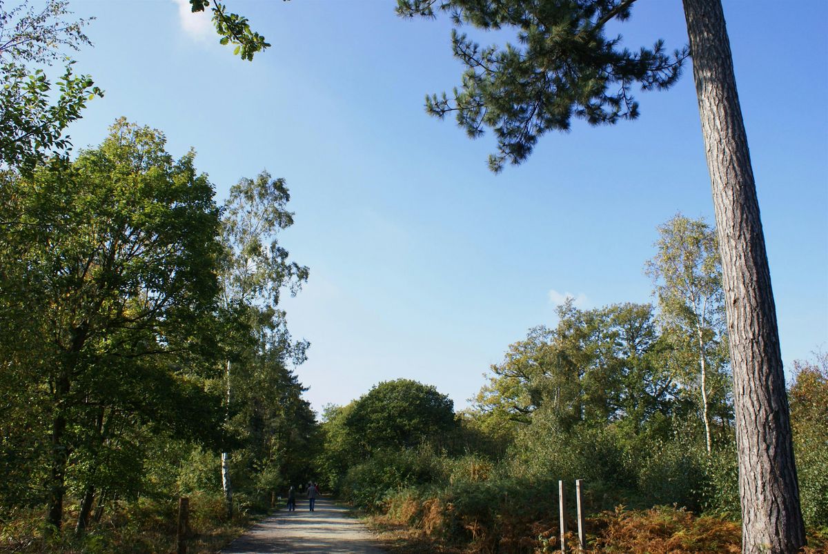 Blean Community Advisory Group  Autumn Meeting, 29 November | Event in Canterbury | AllEvents