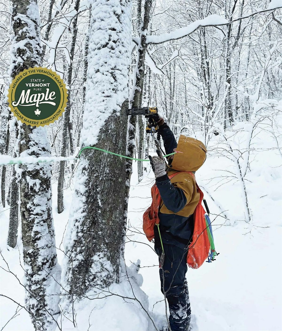 2025 Vermont Maple Conference Week: 12/8/25 - 12/13/25, 8 December | Event in Randolph | AllEvents