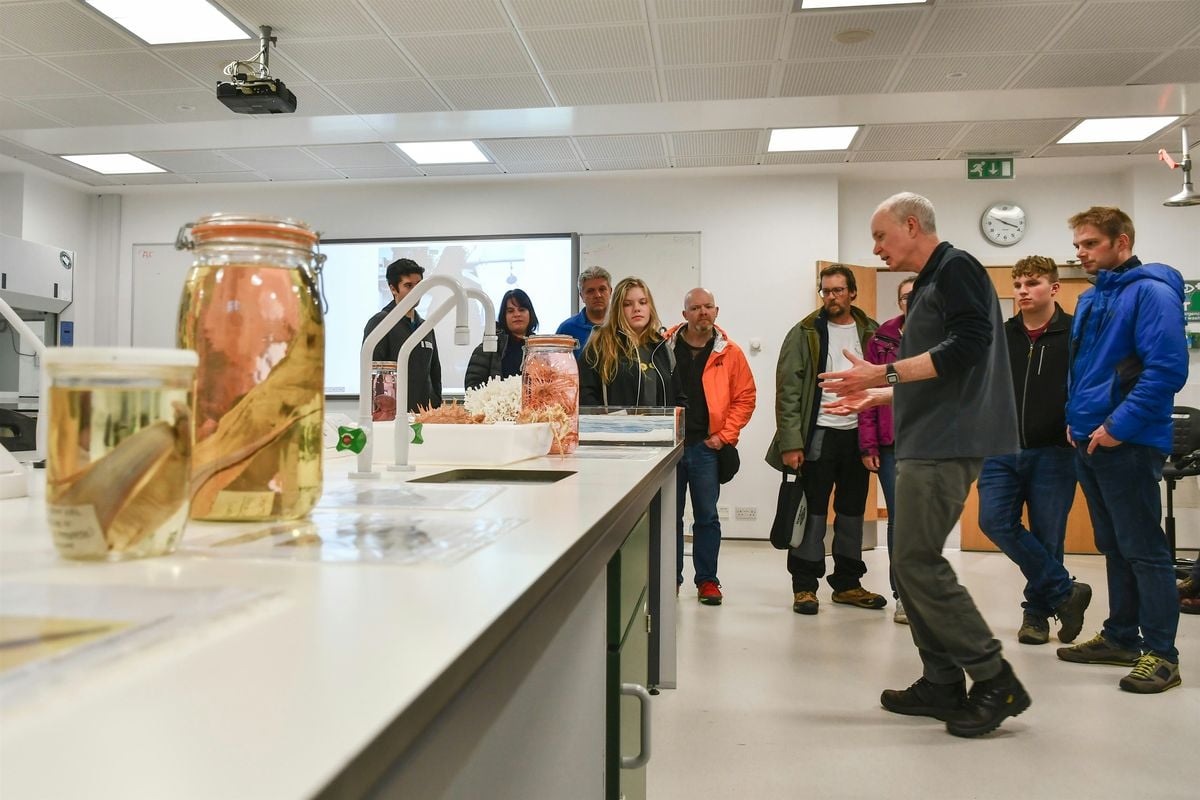 Open Day BSc Marine Science & MSci Applied Marine Science, SAMS UHI - pm, 27 October | Event in Oban | AllEvents
