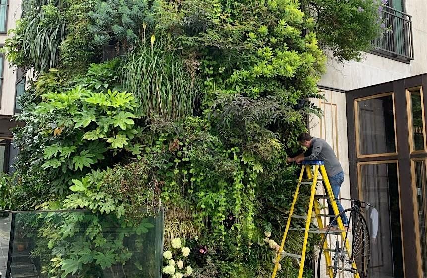Business Breakfast: Build a Vertical Garden on Fleet Street, 2 December | Event in London | AllEvents