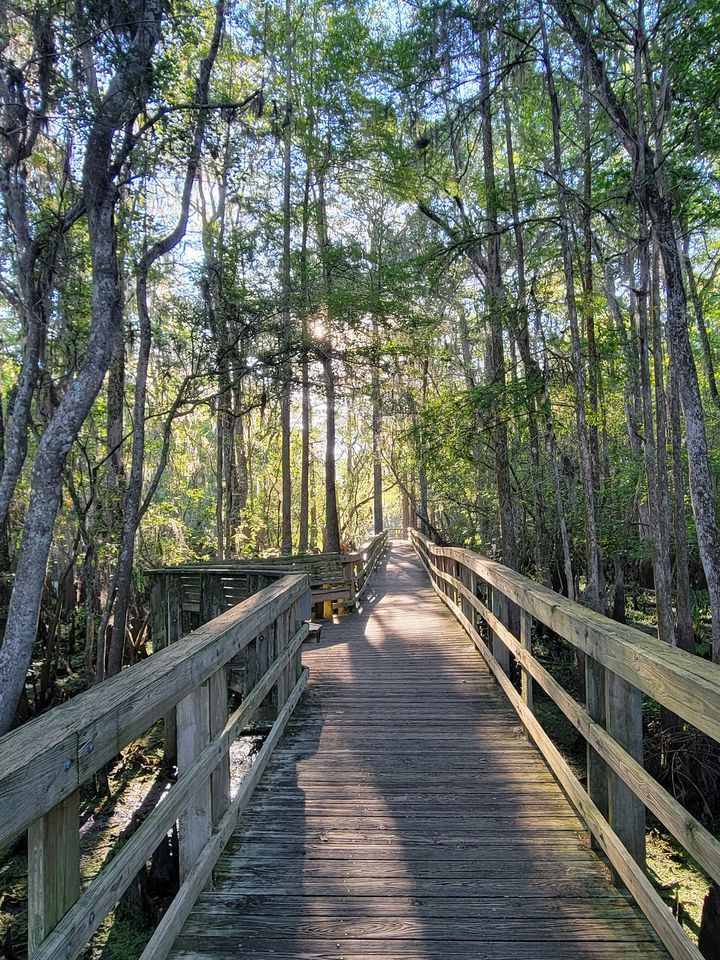Manatee Springs 55th Birthday - Help Celebrate 55 Years of Memories