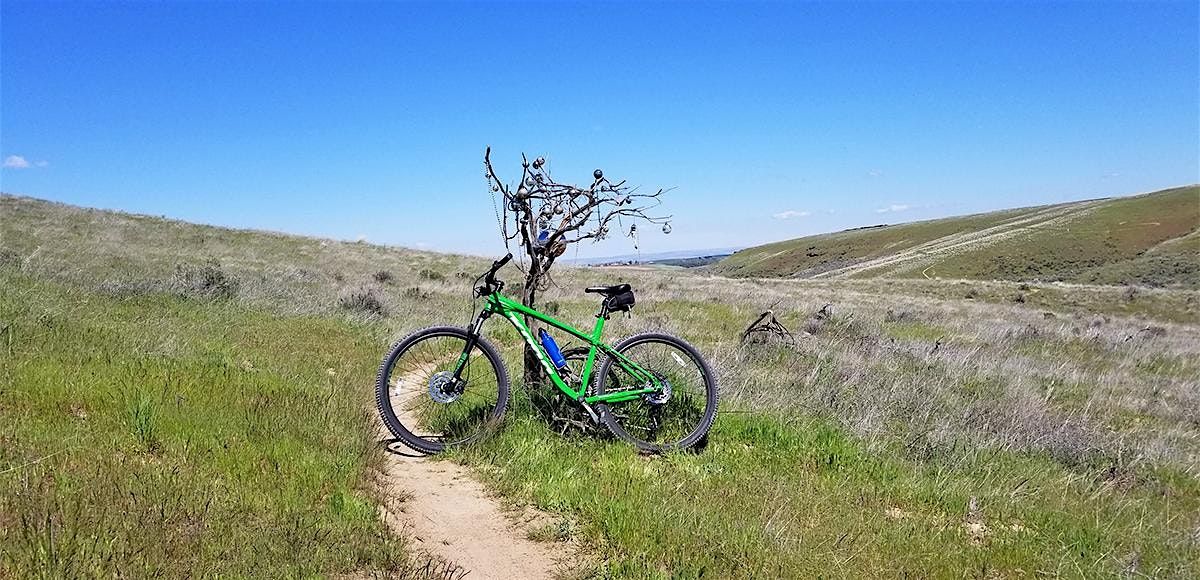Field Session: Echo West Ranch & Vineyard Group Ride w/ Scott’s Cycle, 8 November | Event in Echo | AllEvents