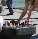 Games for degrowth, 17 September | Event in Manchester | AllEvents