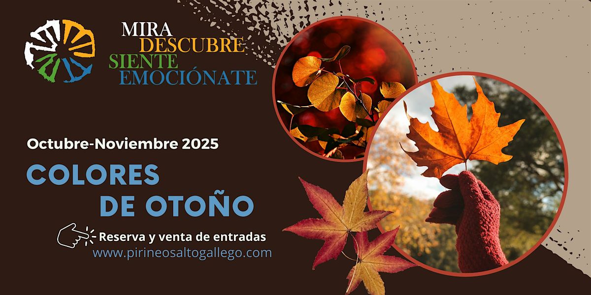 Visita Guiada Navidad, Senegüé, 7 December | Event in Senegüé | AllEvents