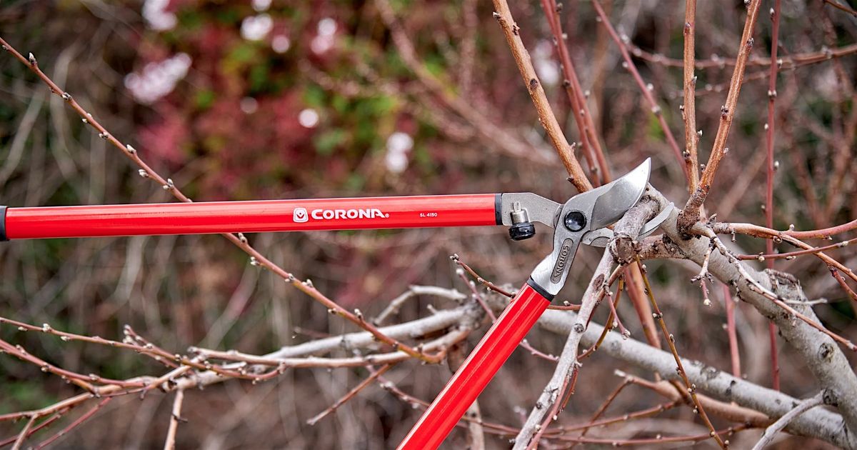 Winter Pruning Seminar- Pahrump, 10 January | Event in Pahrump | AllEvents