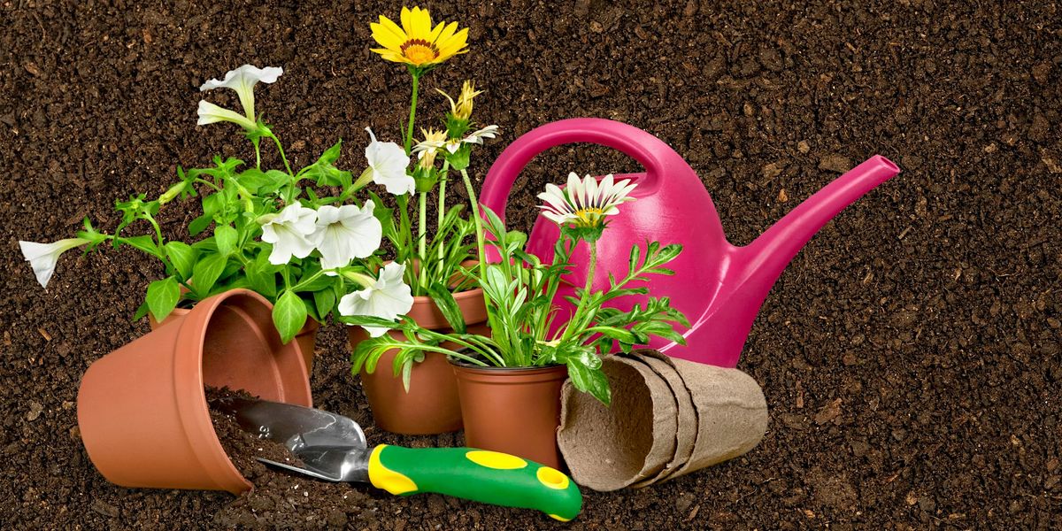 Weeding and Watering: Ages 12+, Free Volunteer Event, 14 September | Event in West Hempstead | AllEvents