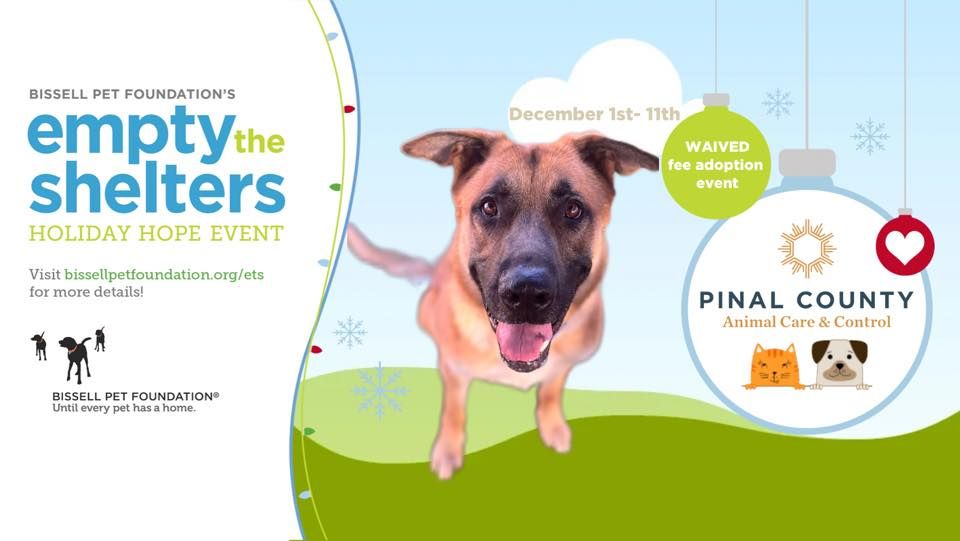 Bissell’s Empty the Shelter, Pinal County Animal Care and Control, Casa