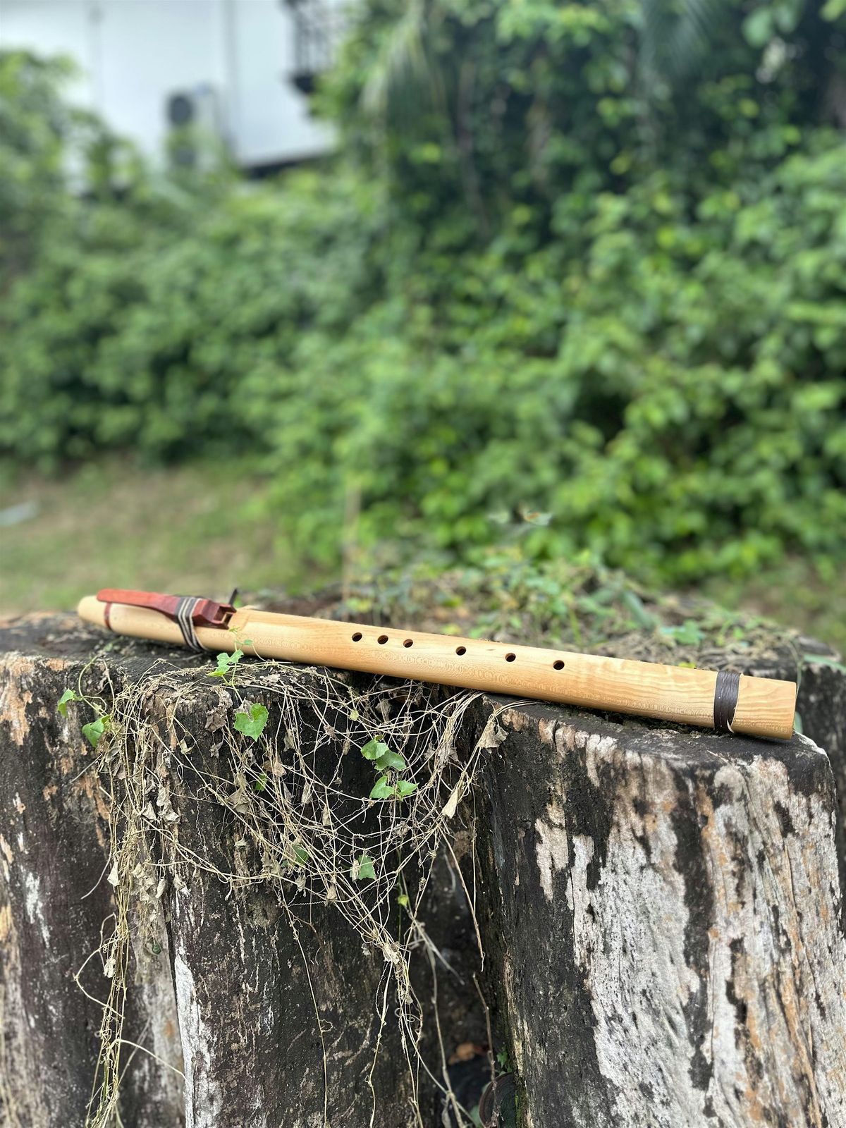 Native American Flute - Level 1, 1 November | Event in Singapore | AllEvents