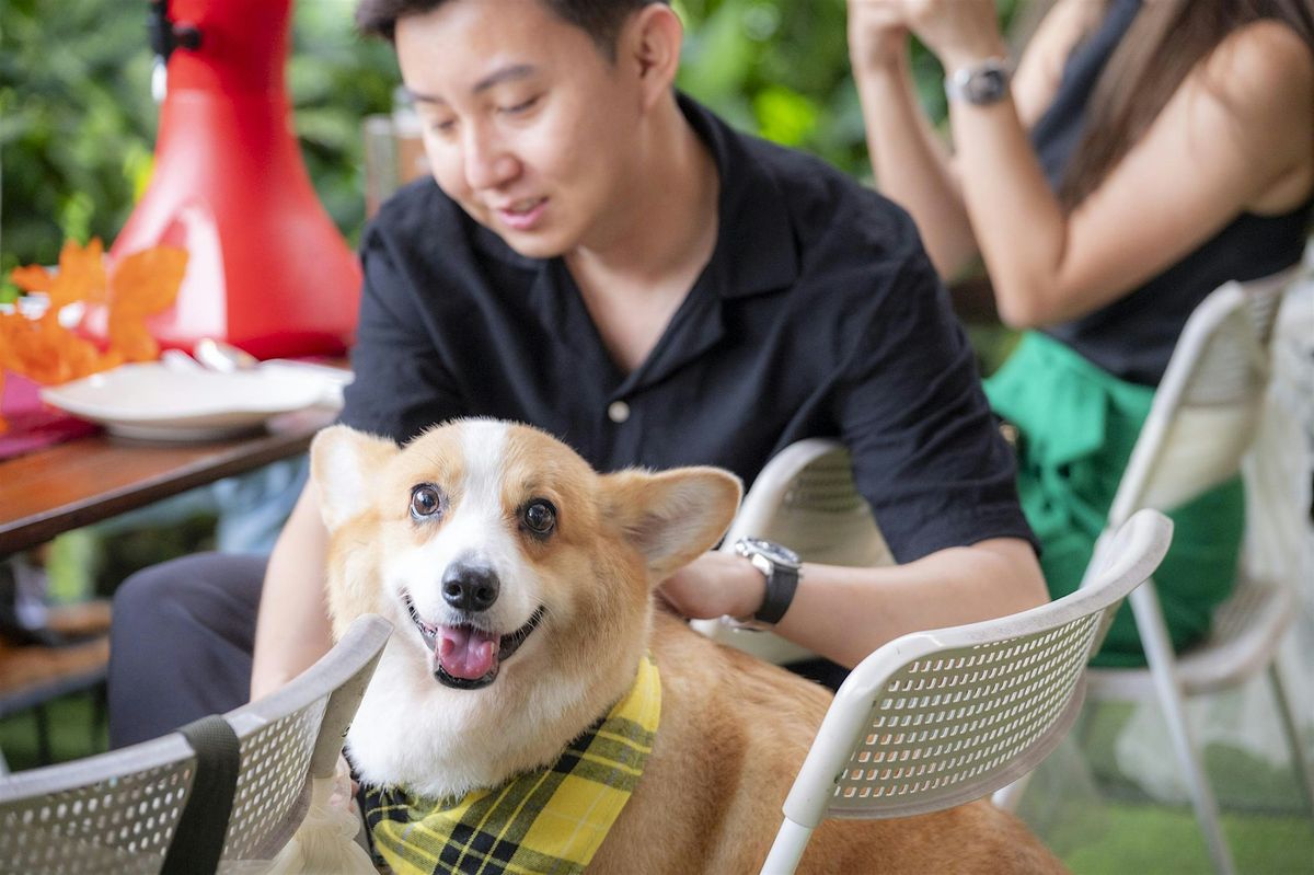 Paws & Provisions: A Dog Nutrition Workshop @ Reddot Brewhouse, 26 October | Event in Queenstown | AllEvents