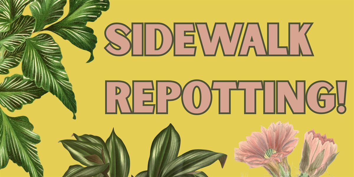 Sidewalk Repotting!, 9 August | Event in Baltimore | AllEvents