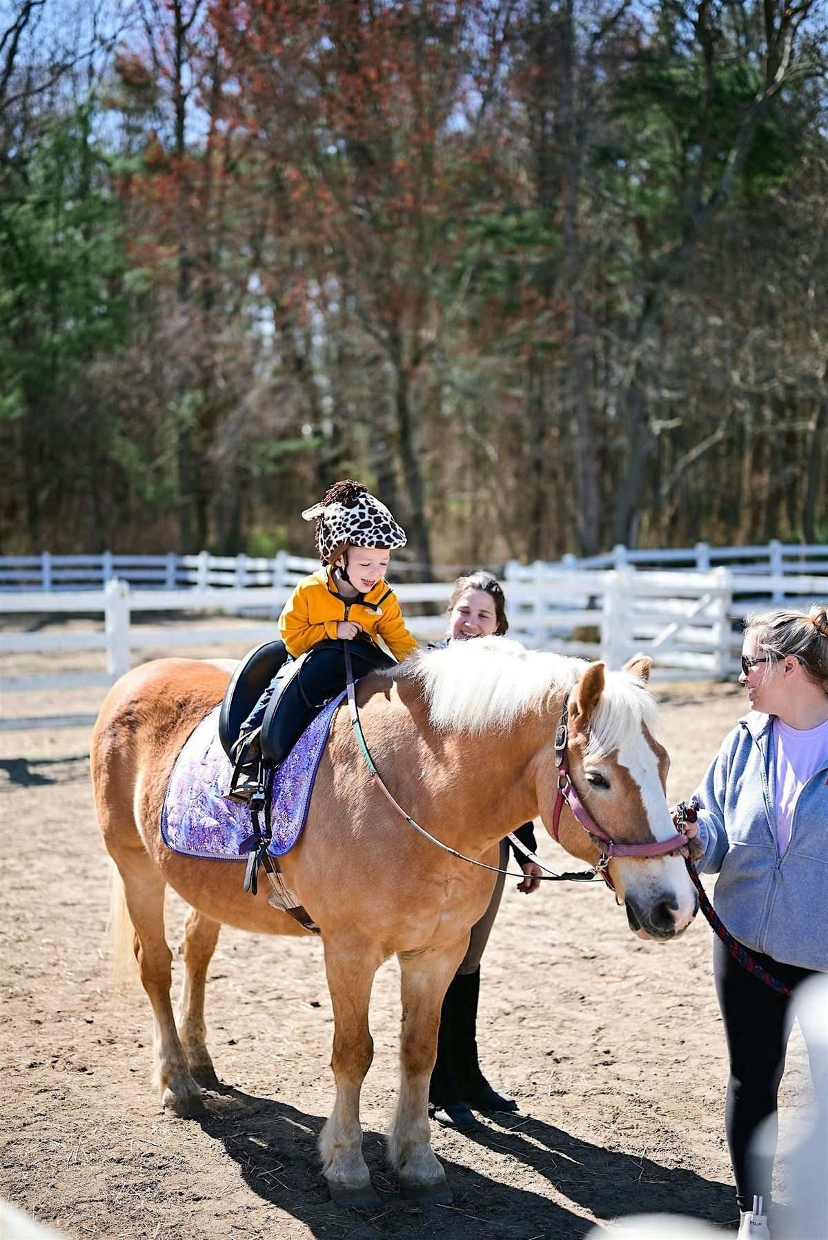 4-Week Pony Playgroup (Ages 5 - 8) | Event in Bridgewater | AllEvents