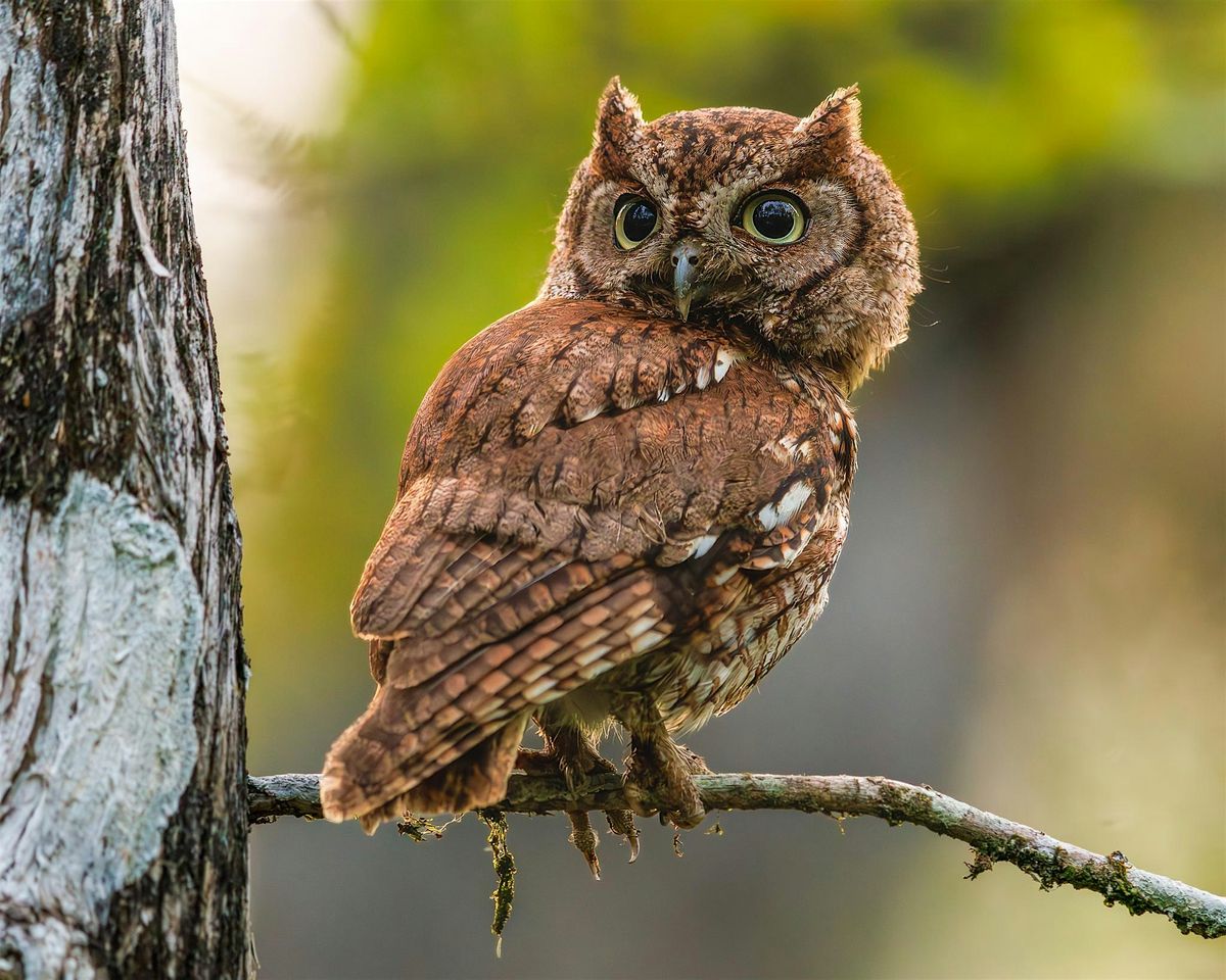 Wet Walk "Slough Fables, Fakes and Facts", 18 October | Event in Fort Myers | AllEvents