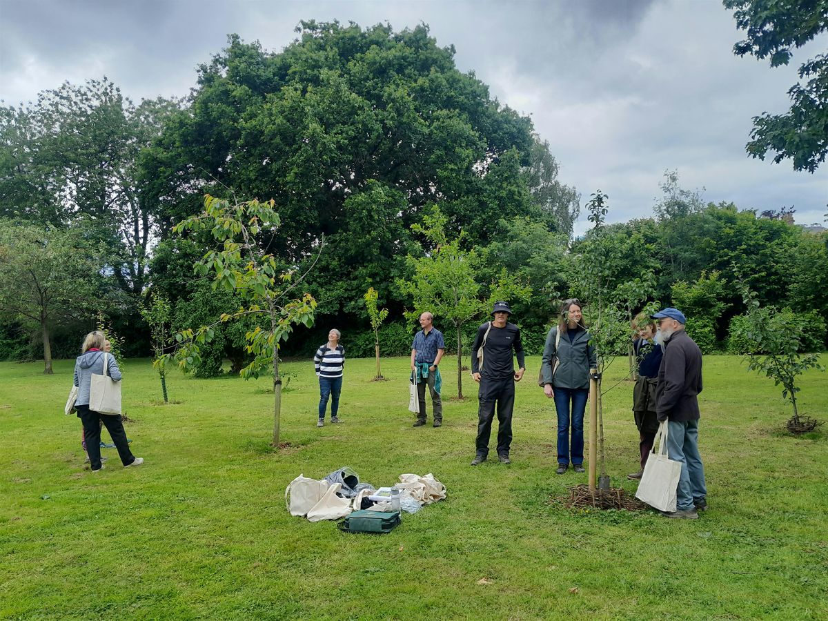 Tree Guardian event - Trelai Park, Caerau, 25 June | Event in Cardiff | AllEvents