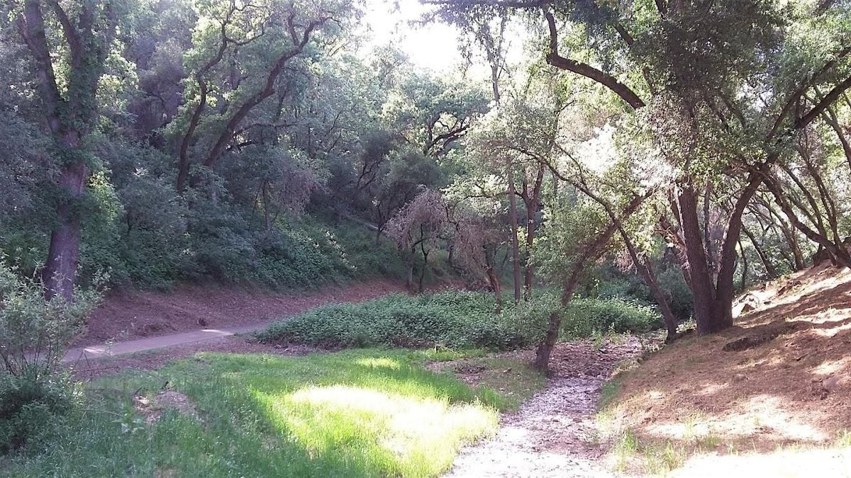 Dragoon Gulch Moai starts August 27,  BZP Tuolumne, 27 August | Event in Sonora | AllEvents