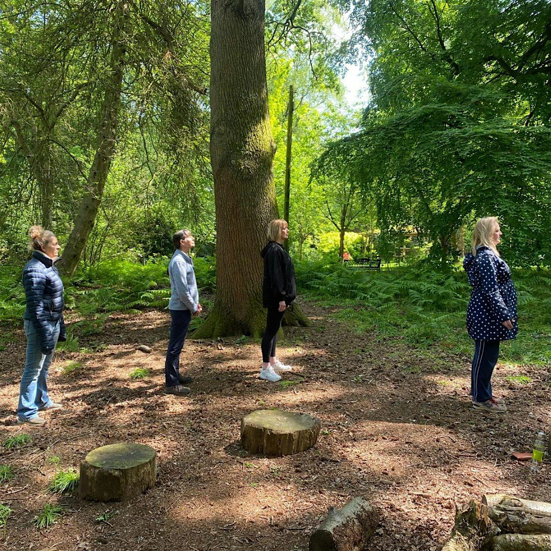 Nature Connection: A Forest Bathing Experience, 28 September | Event in Guildford | AllEvents