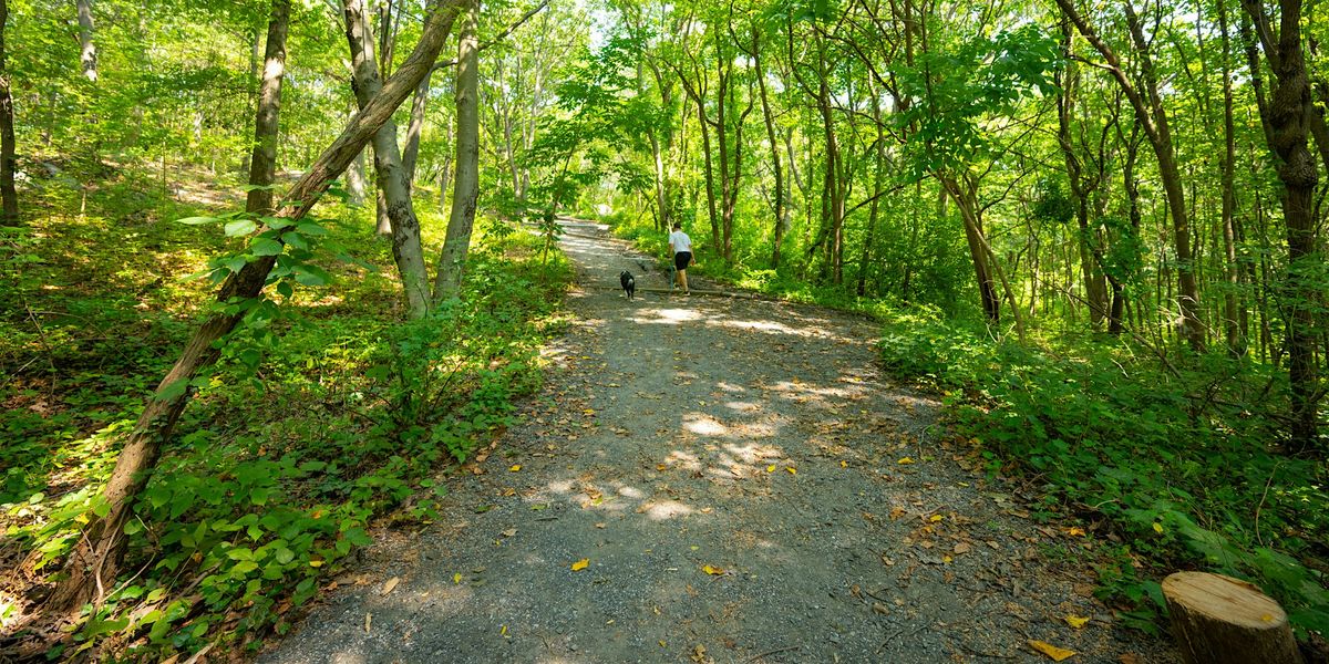Cross Country Course Volunteer Days | Event in The Bronx | AllEvents