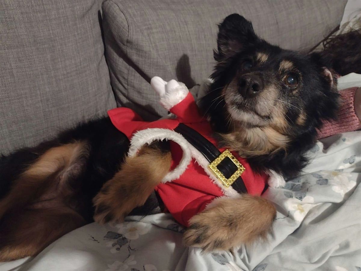 Smidges & Beating Hearts Rescue Fund raiser, 6 December | Event in Ninfield | AllEvents