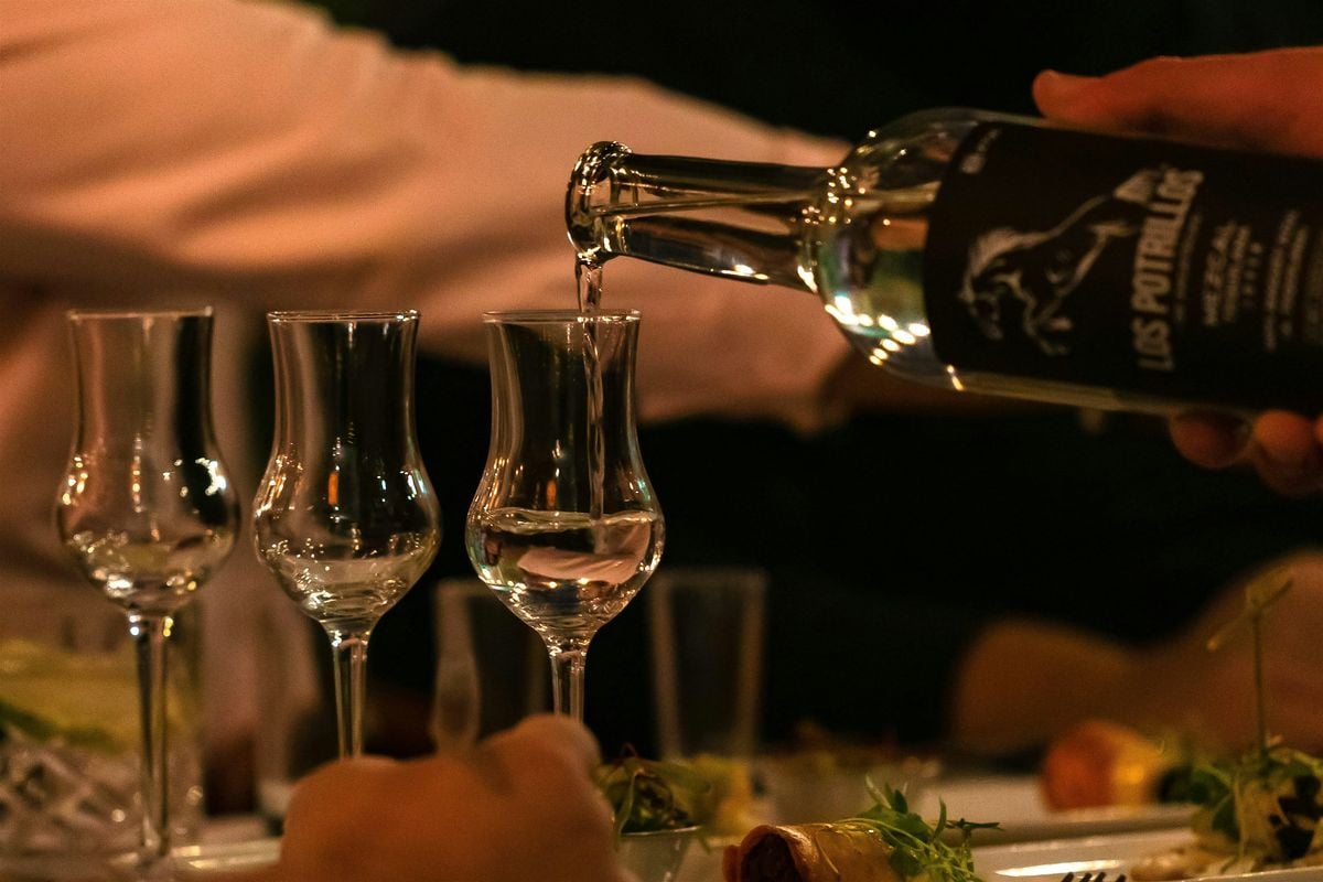 CATA 2 : AGAVES SACRÉS - Dégustation spiritueux d'agave: Tequila, Mezcal, 20 August | Event in Paris | AllEvents
