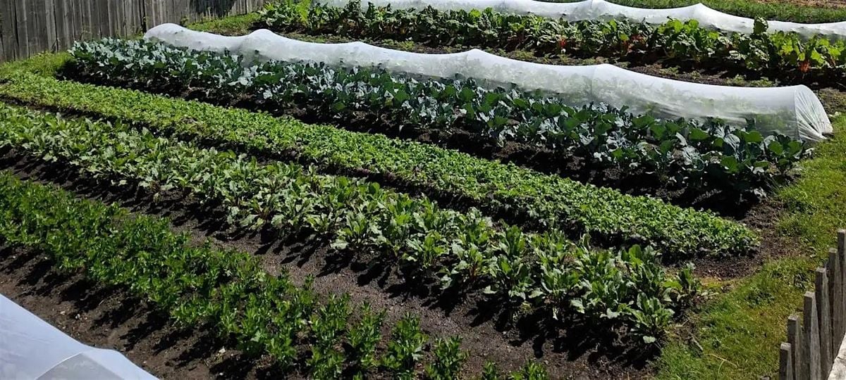 Pest Scouting Techniques and Practices, 7 September | Event in Garrettsville | AllEvents