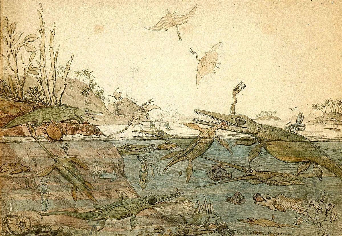 Heroes of the Natural World, 20 February | Event in Barrow-in-Furness | AllEvents