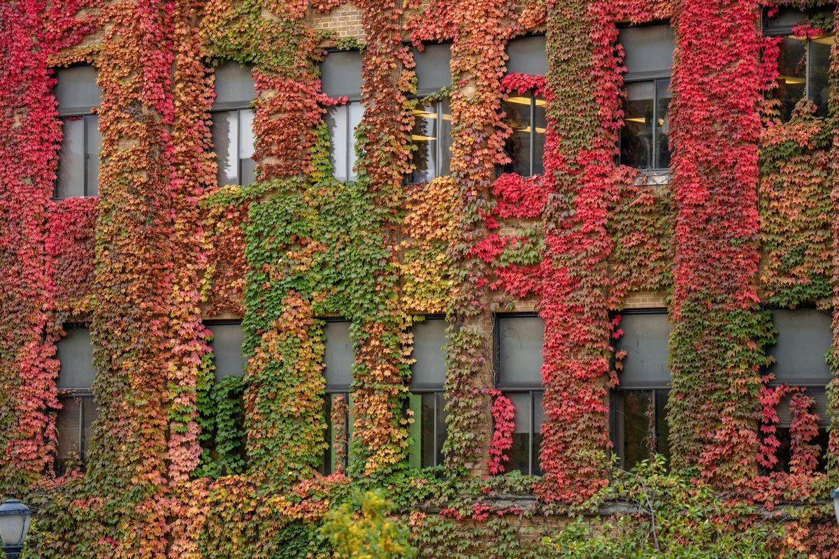 Using OIRA's Power BI Reports, 16 October | Event in Milwaukee | AllEvents