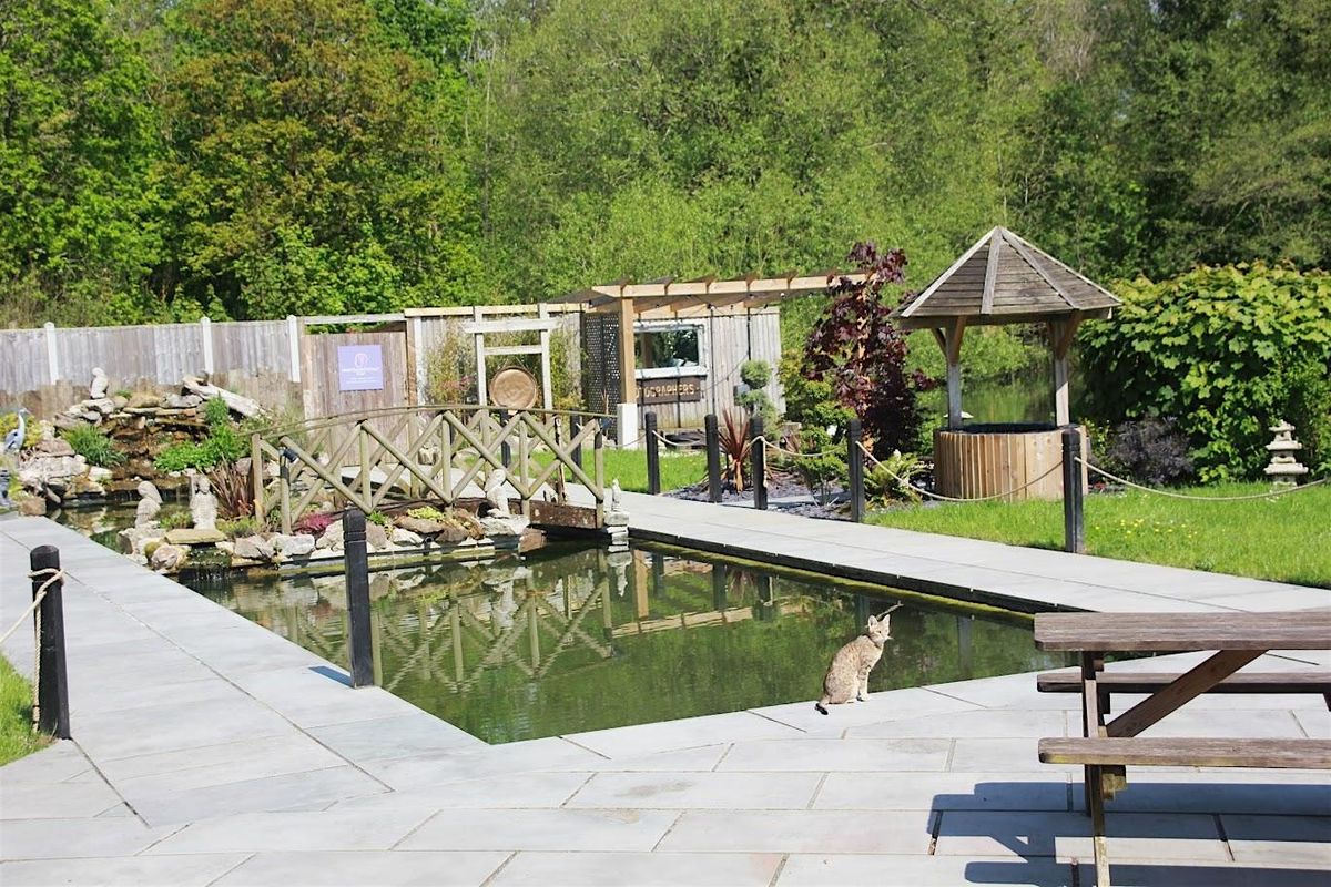 Rise & Flow - Vinyasa Yoga | Event in Croxley Green | AllEvents