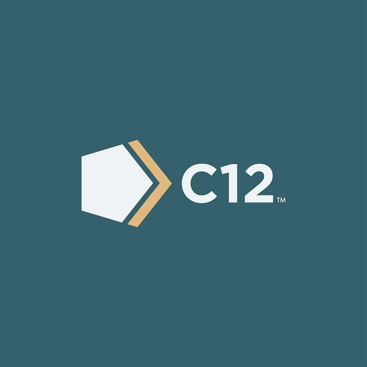 C12 Executive Briefing  |  Great businesses, GREATER purpose! | Breakfast, 26 August | Event in Gainesville