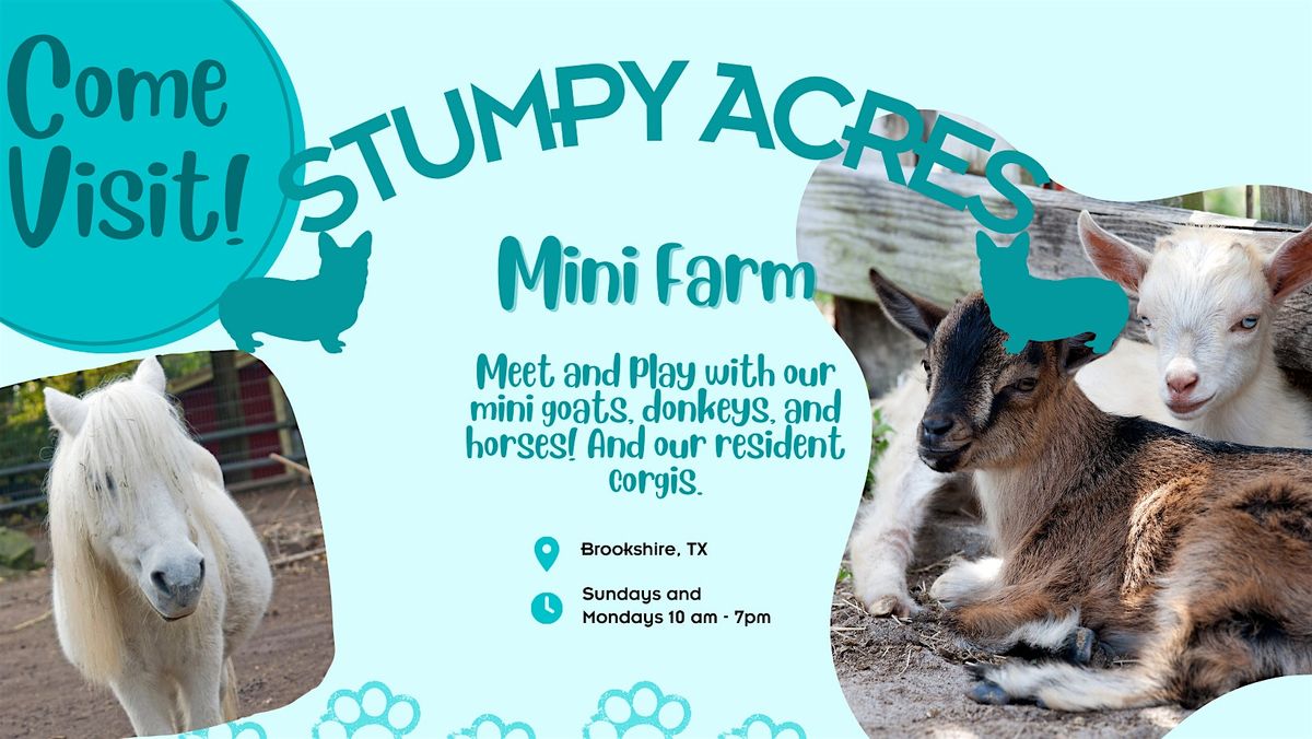 Play with Mini Farm Animals, 19 October | Event in Brookshire | AllEvents
